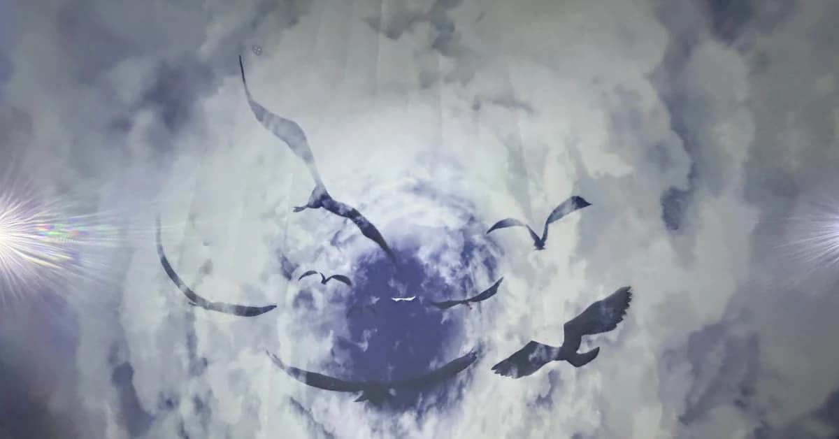 Lackfi János: Teremtés